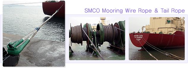 Mooring Tail System 적용사례